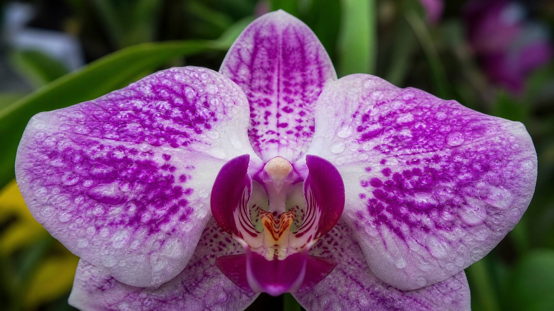 抖荫短视频